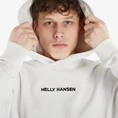 Helly Hansen Core Graphic Sweat casual sweater heren grijs