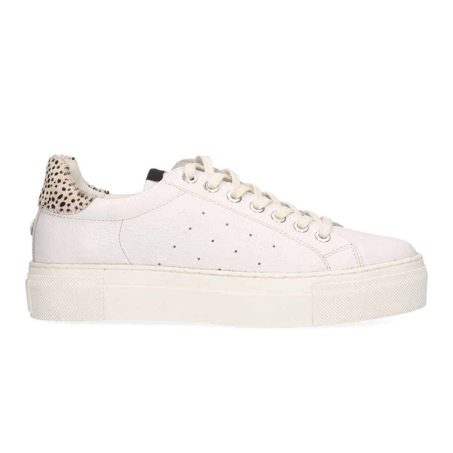 Maruti Ted LEATHER/HAIRON leather sneakers dames