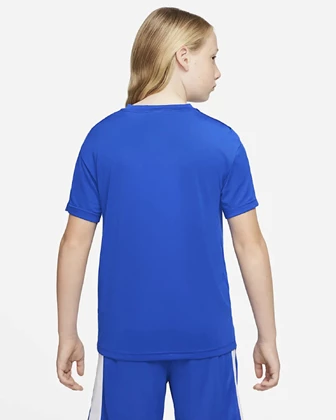 Nike Dri-Fit sportshirt jo blauw