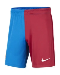 voorwoord hervorming Twee graden Nike FC Barcelona 2021/22 Stadium Thuis/Uit voetbalbroek heren blauw dessin  van fitness shorts