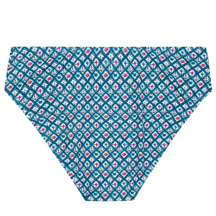 Protest MIXCELEBES 24 bikini slip dames blauw