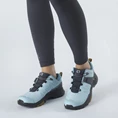 Salomon X Ultra 4 Low GTX wandelsneakers dames blue