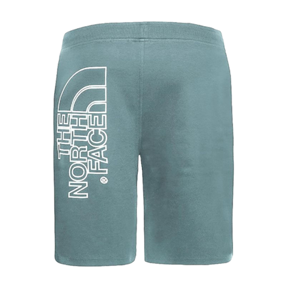 The North Face Graphic casual short heren blauw
