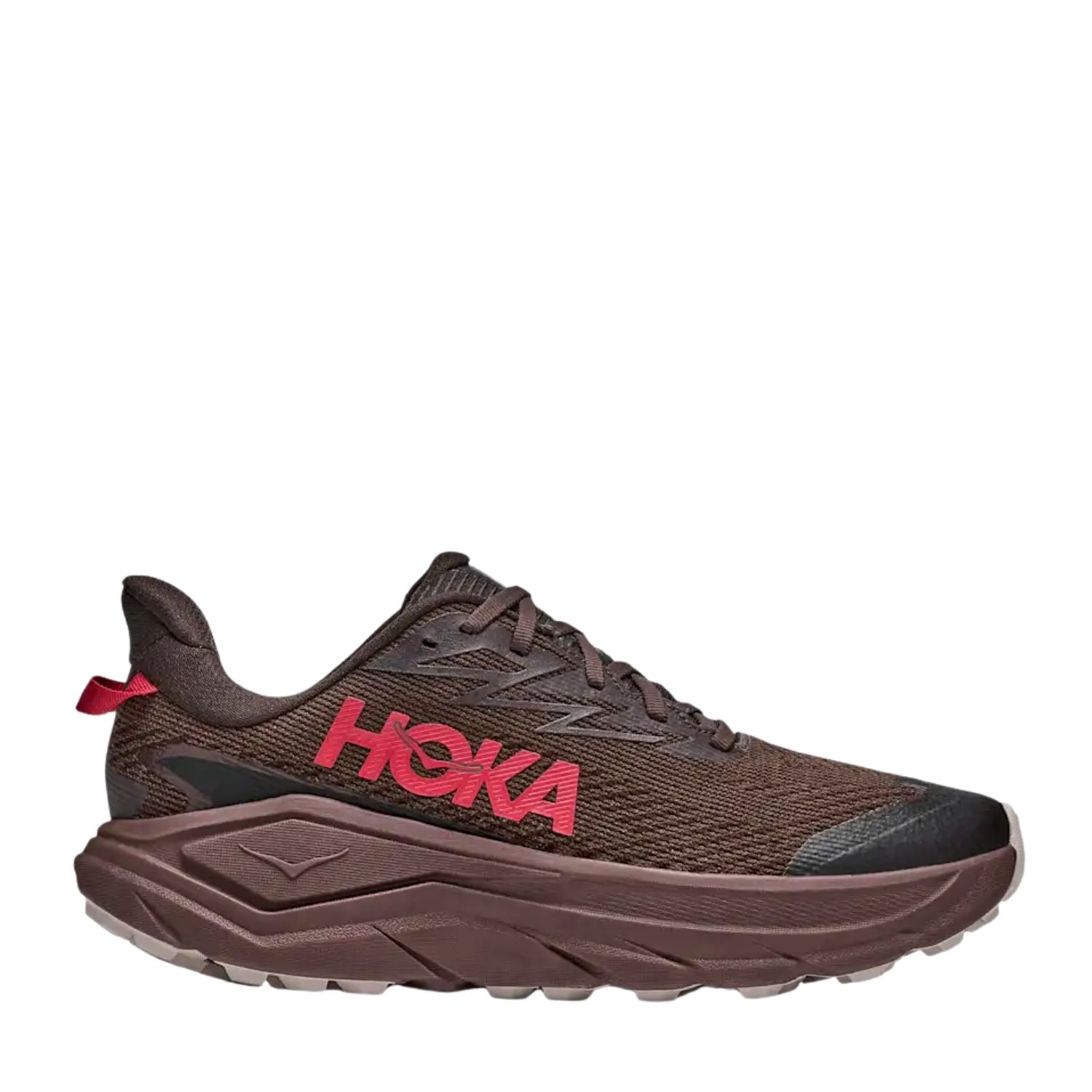 Hoka Challenger 8 GTX Trailrunschoenen SR Bruin
