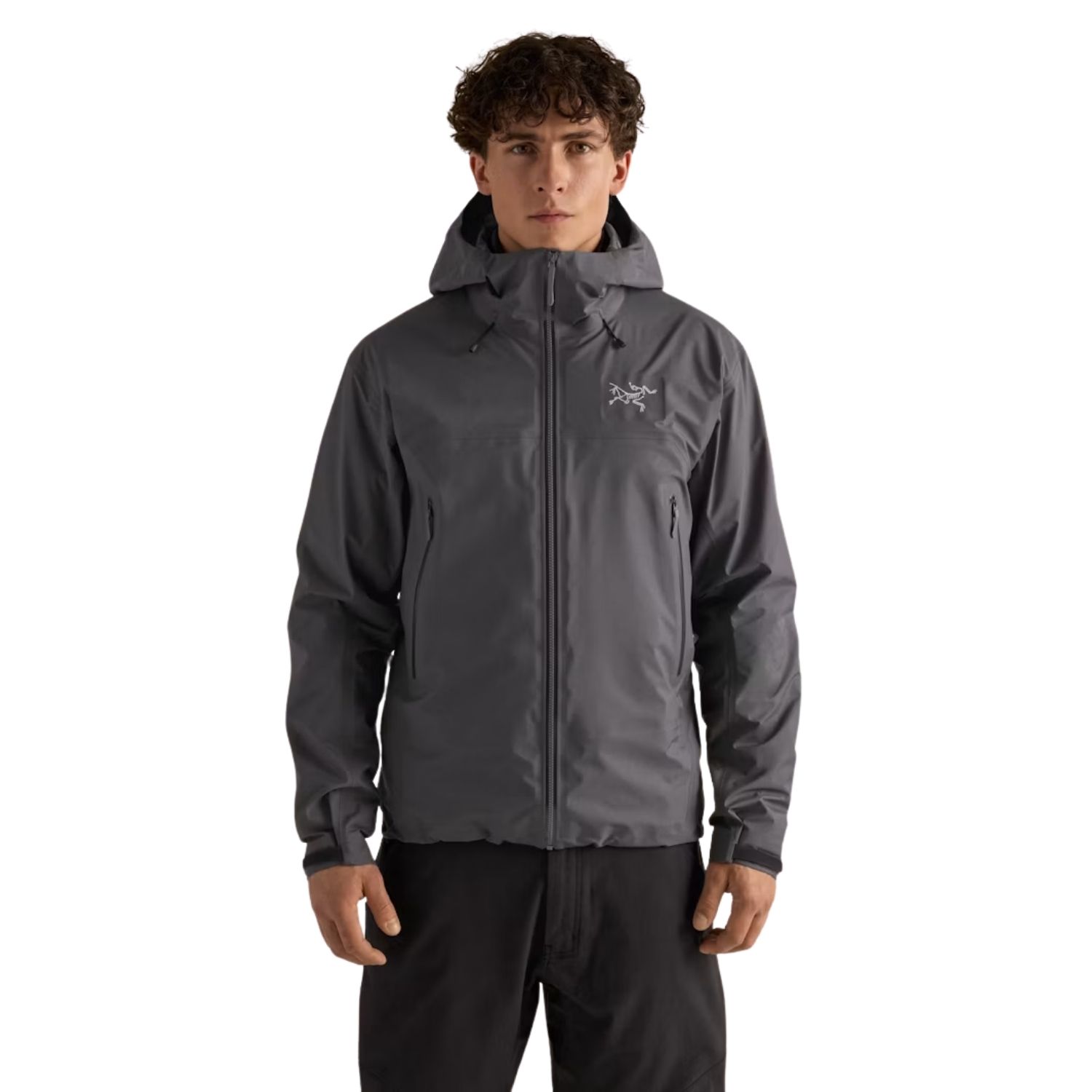 Arc'teryx Beta SL Wandeljas Heren L