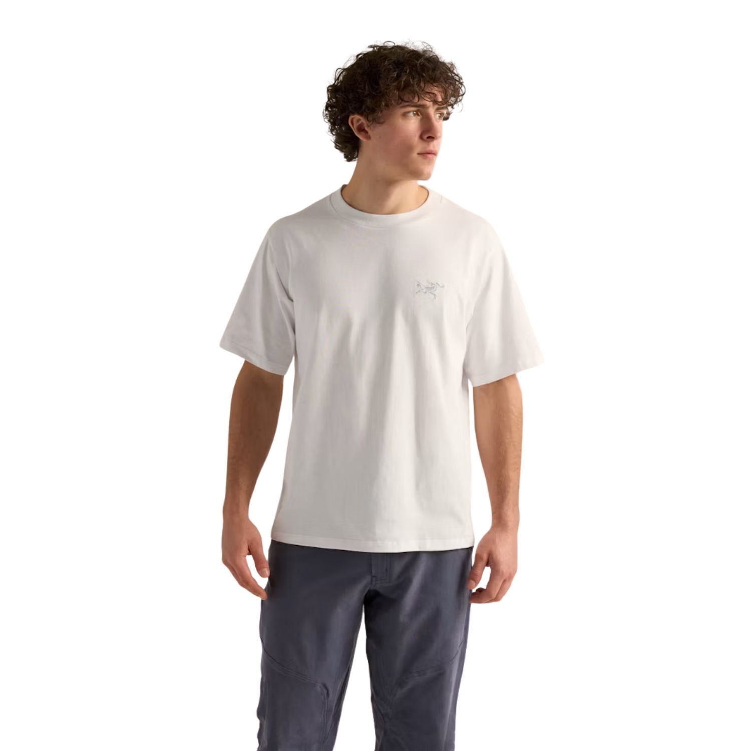 Arc&apos teryx Kragg Cotton Emblem Crew SS Casual T-shirt heren Wit